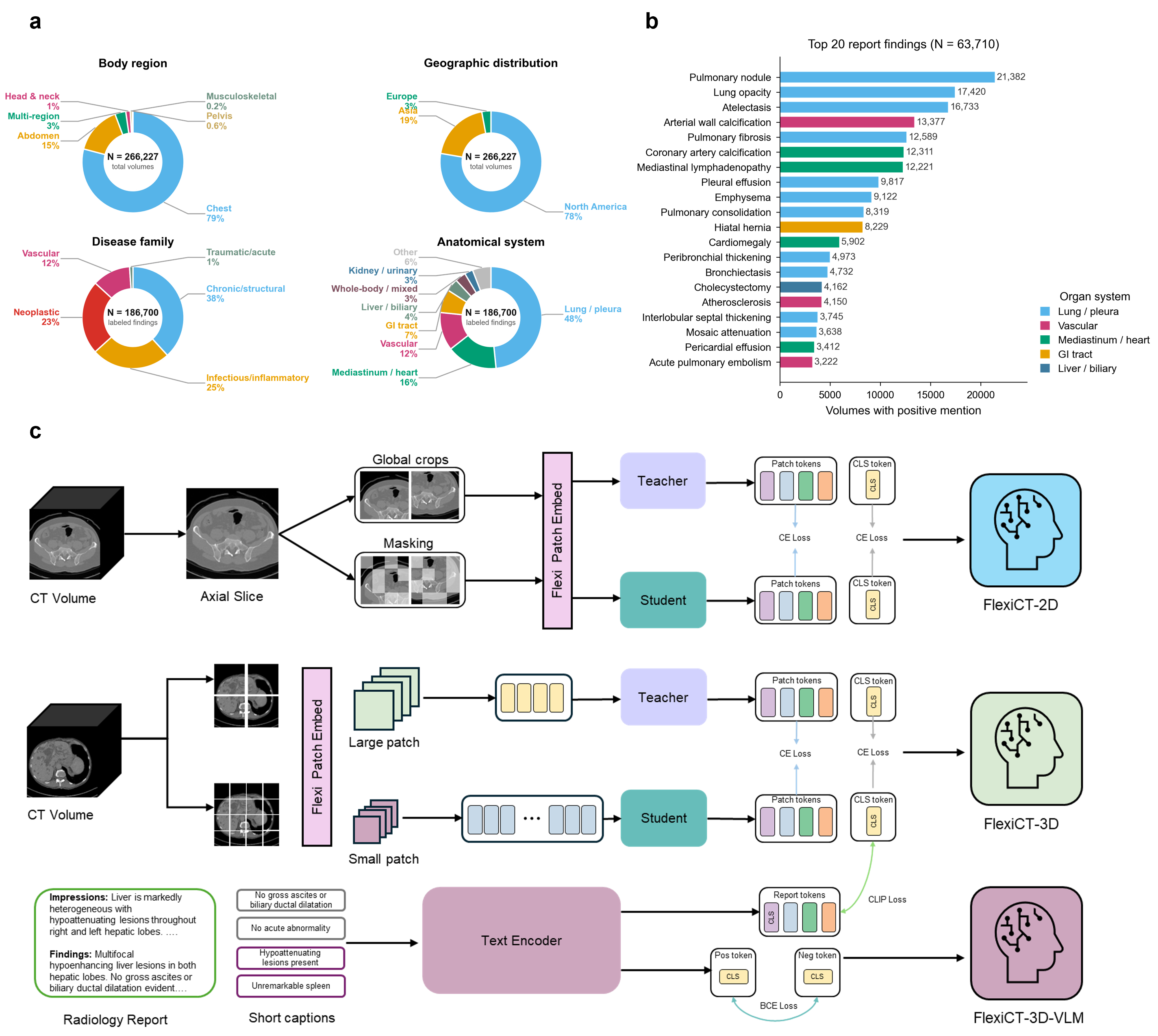 Dataset statistics and three-stage pretraining strategy of FlexiCT.